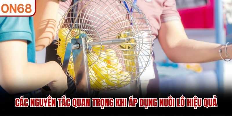 Các nguyên tắc quan trọng khi áp dụng nuôi lô hiệu quả