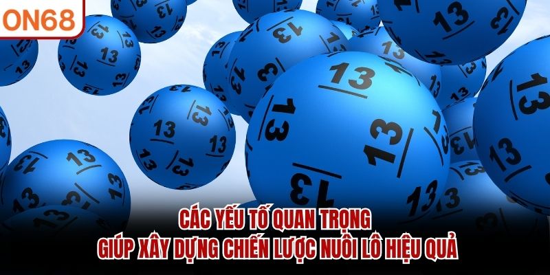 Các yếu tố quan trọng giúp xây dựng chiến lược nuôi lô hiệu quả