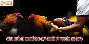 cach-nuoi-ga-tre-da-cua-cuc-chuan-tu-chuyen-gia-on68