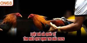 luat-da-ga-quoc-te-tim-hieu-quy-dinh-thi-dau-2026
