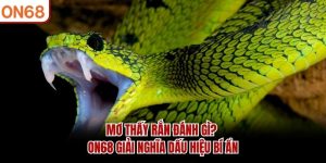 mo-thay-ran-danh-gi-on68-giai-nghia-dau-hieu-bi-an