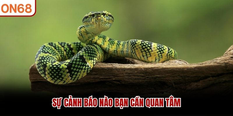 Sự cảnh báo nào bạn cần quan tâm