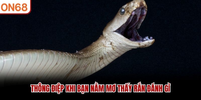 Thông điệp khi bạn nằm mơ thấy rắn đánh gì