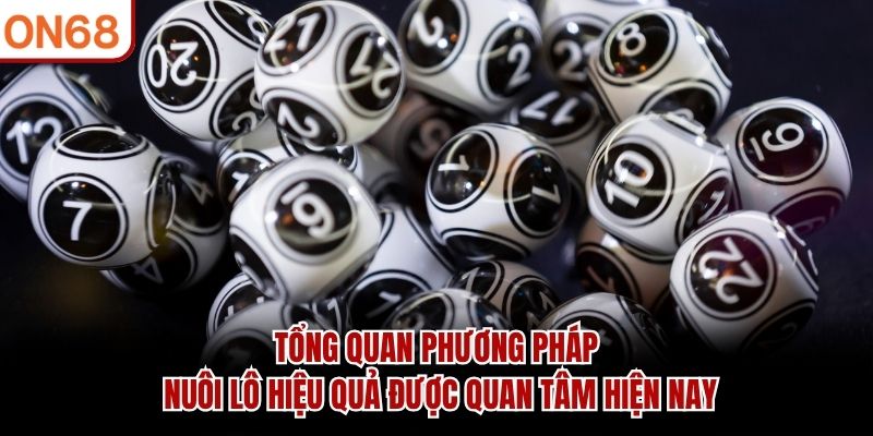 Tổng quan phương pháp nuôi lô hiệu quả được quan tâm hiện nay